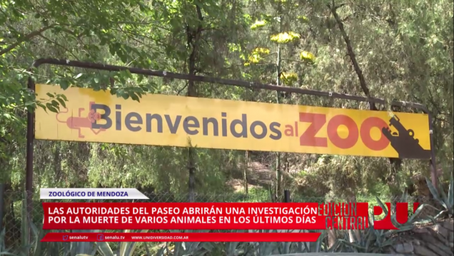imagen Investigación por muerte de animales en el Zoo