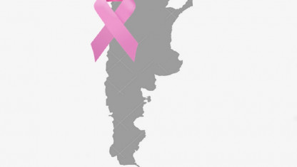 imagen En cifras