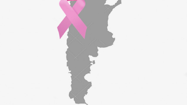 imagen En cifras