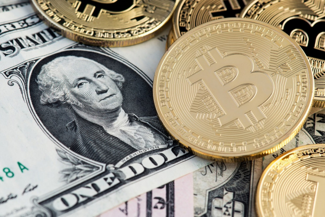 imagen ¿Pueden las criptomonedas ser una alternativa al dólar y un refugio ante la inflación?