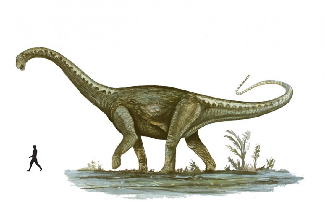 imagen Cómo vivía el dinosaurio mendocino de 86 millones de años