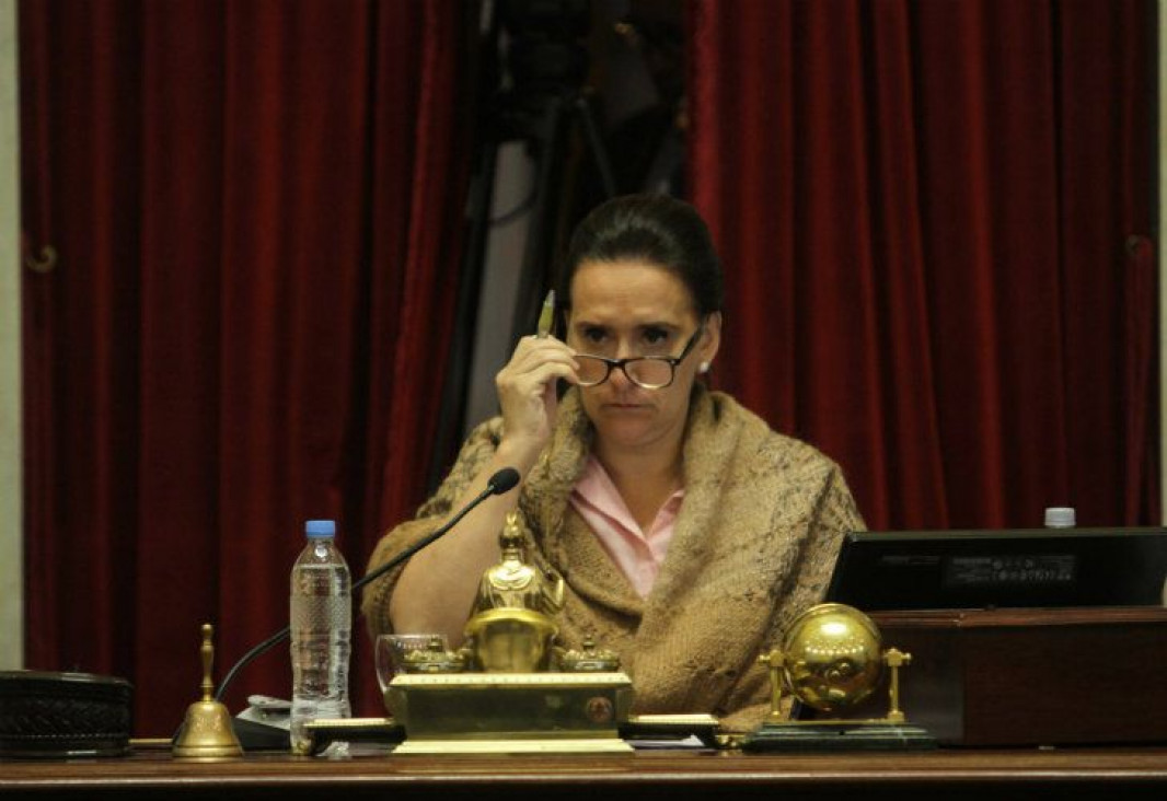 imagen El Senado también deberá ajustarse con los gastos