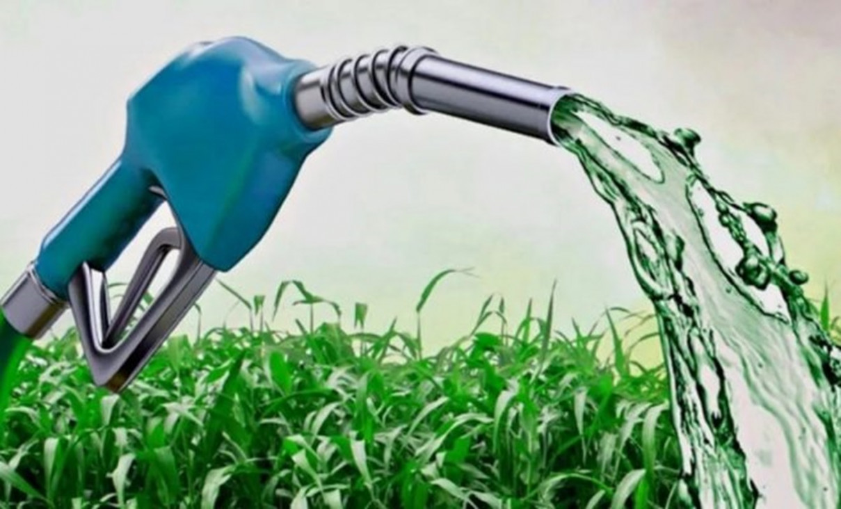 imagen Demuestran cómo los campos magnéticos podrían mejorar la producción de combustibles sustentables