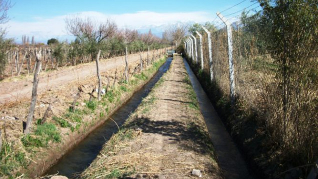 imagen La identidad en el territorio II.  Los discursos acerca de los pequeños productores 