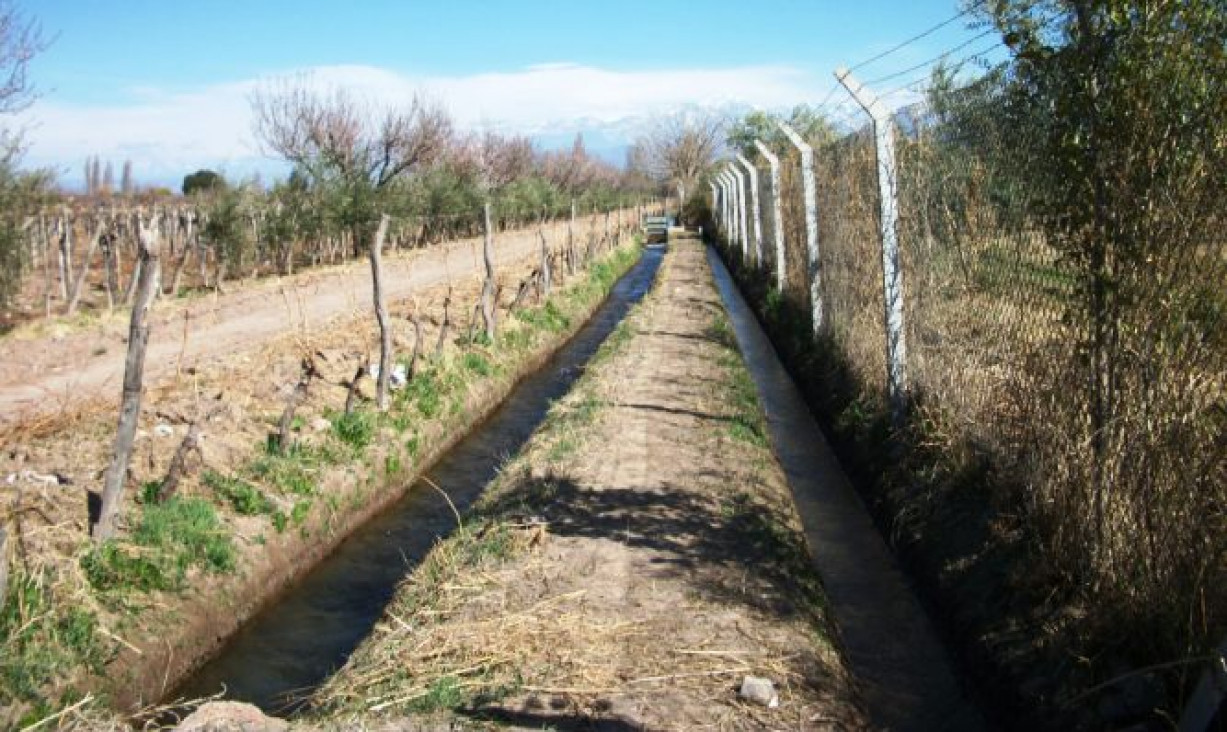 imagen La identidad en el territorio II.  Los discursos acerca de los pequeños productores 