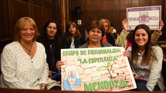 imagen Fibromialgia: un dolor crónico que Mendoza recién ahora reconoce