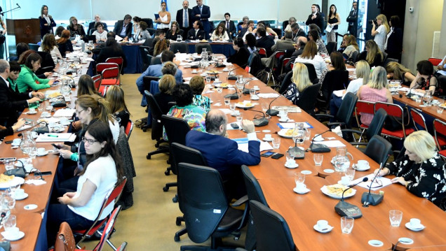 imagen Seguí en vivo la segunda audiencia por el aborto legal