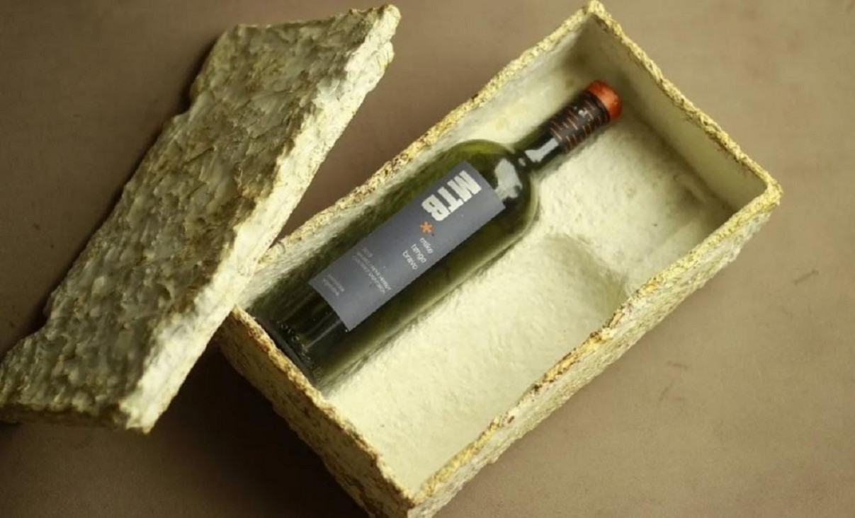 imagen Biocajas, el invento sustentable de estudiantes de la UNCUYO que promete cambiar la industria vitivinícola