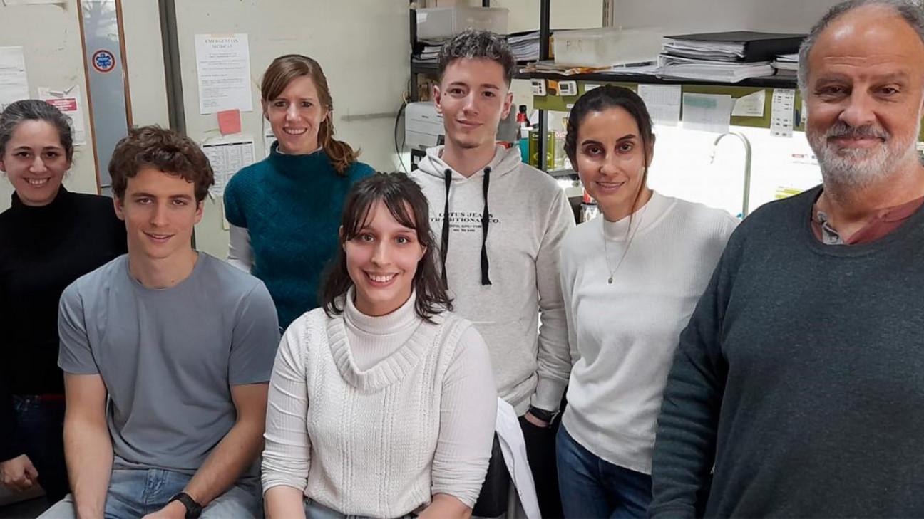 imagen Especialistas del Conicet detectaron principios para nuevos fármacos antivirales