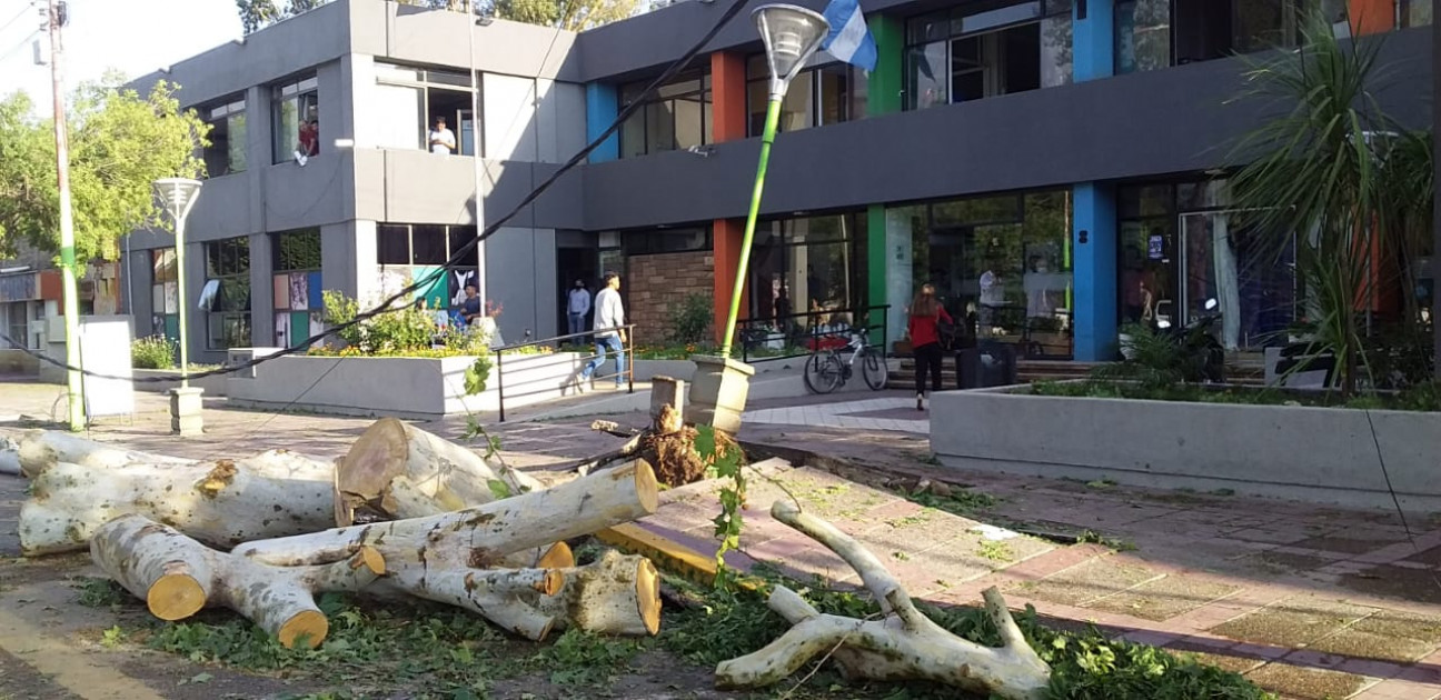 imagen Dos muertos y daños por el temporal de lluvia y granizo: Lavalle, la zona más afectada