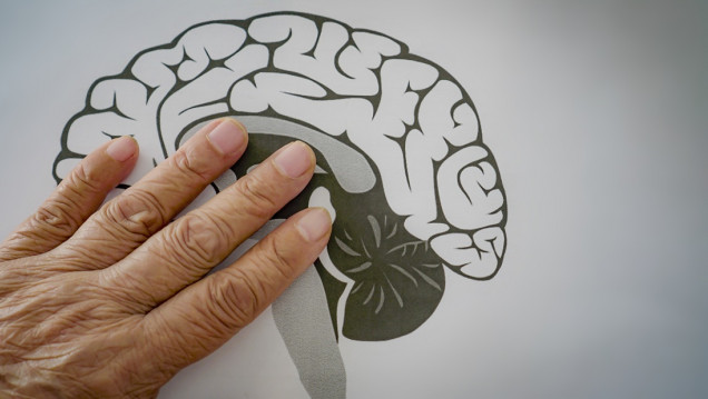 imagen Investigadores del Conicet aportan nuevas pistas para mejorar las terapias del Parkinson a largo plazo