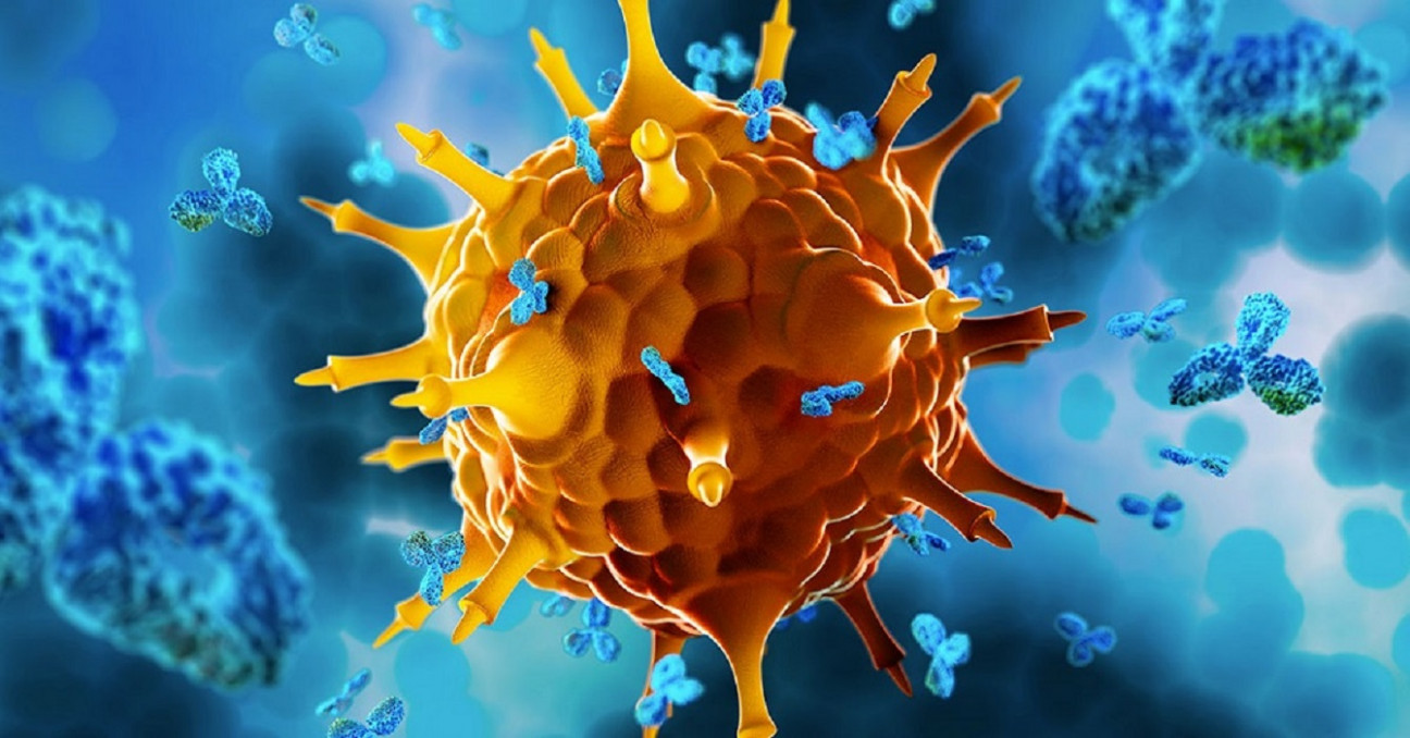 imagen Nobel de Medicina: desde Conicet, explican el descubrimiento que mantiene bajo control el sistema inmune