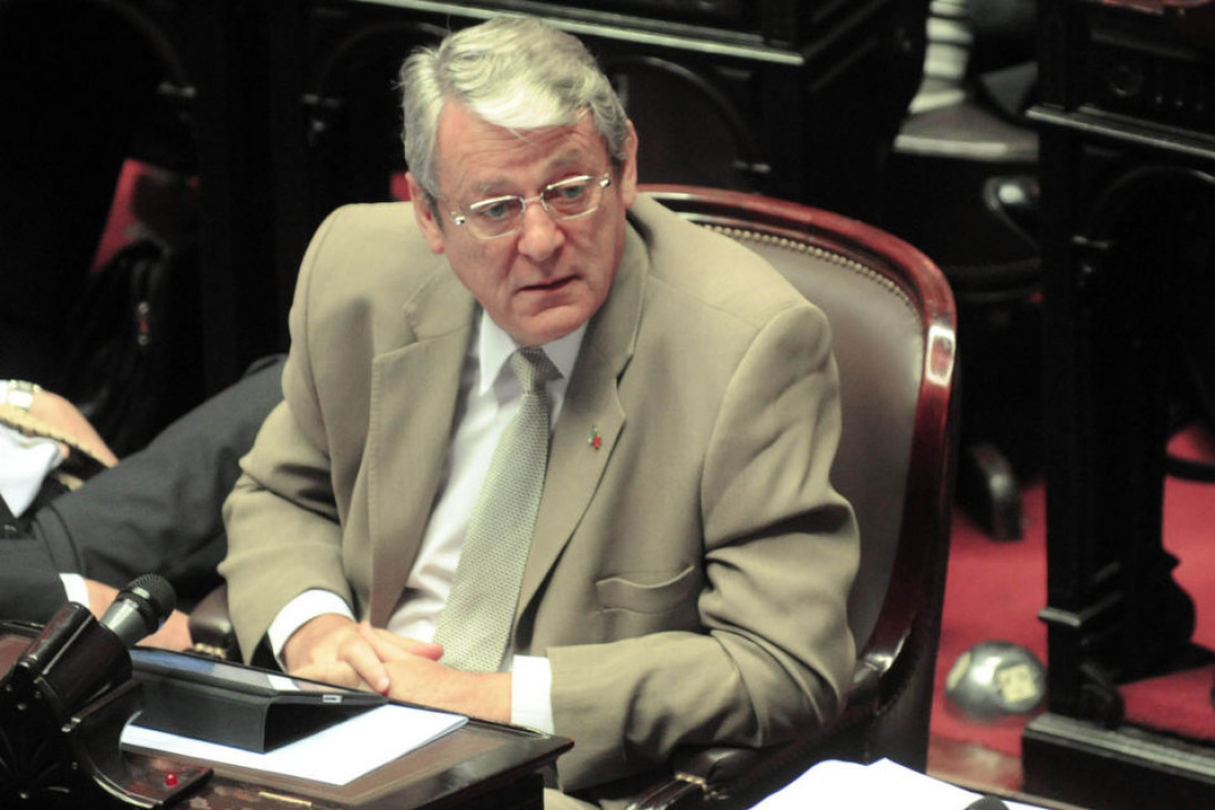 imagen Diputados del FpV rechazan el fallo de Servini de Cubría