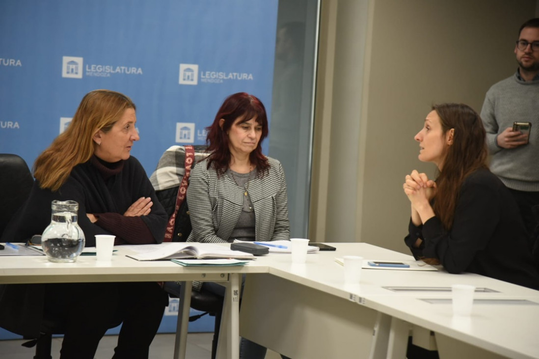imagen Un proyecto provincial busca prevenir la violencia vicaria, ejercida sobre niñas y niños para dañar a la madre