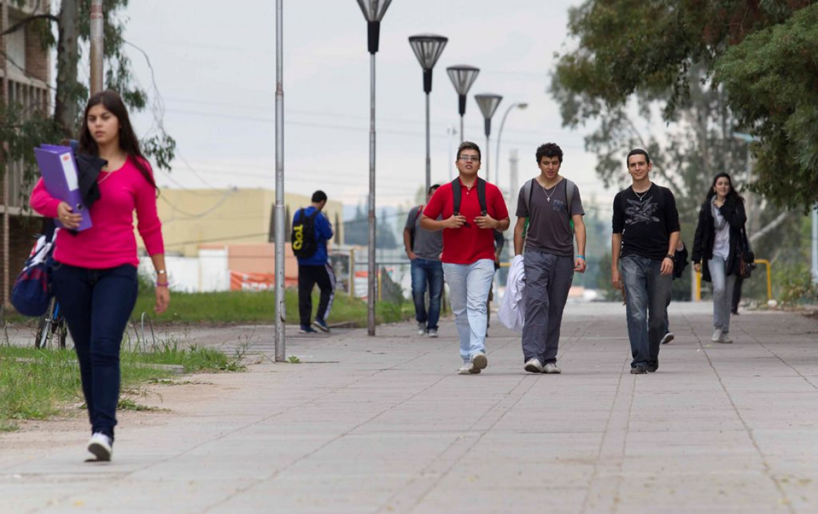 imagen "Te Sumo": crean un programa para recompensar a las empresas que contraten jóvenes