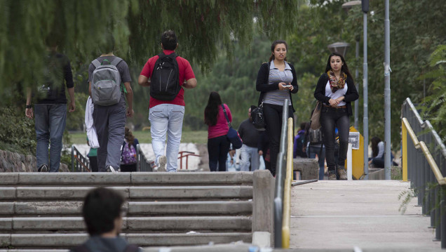 imagen Los estudiantes y su mirada de las PASO