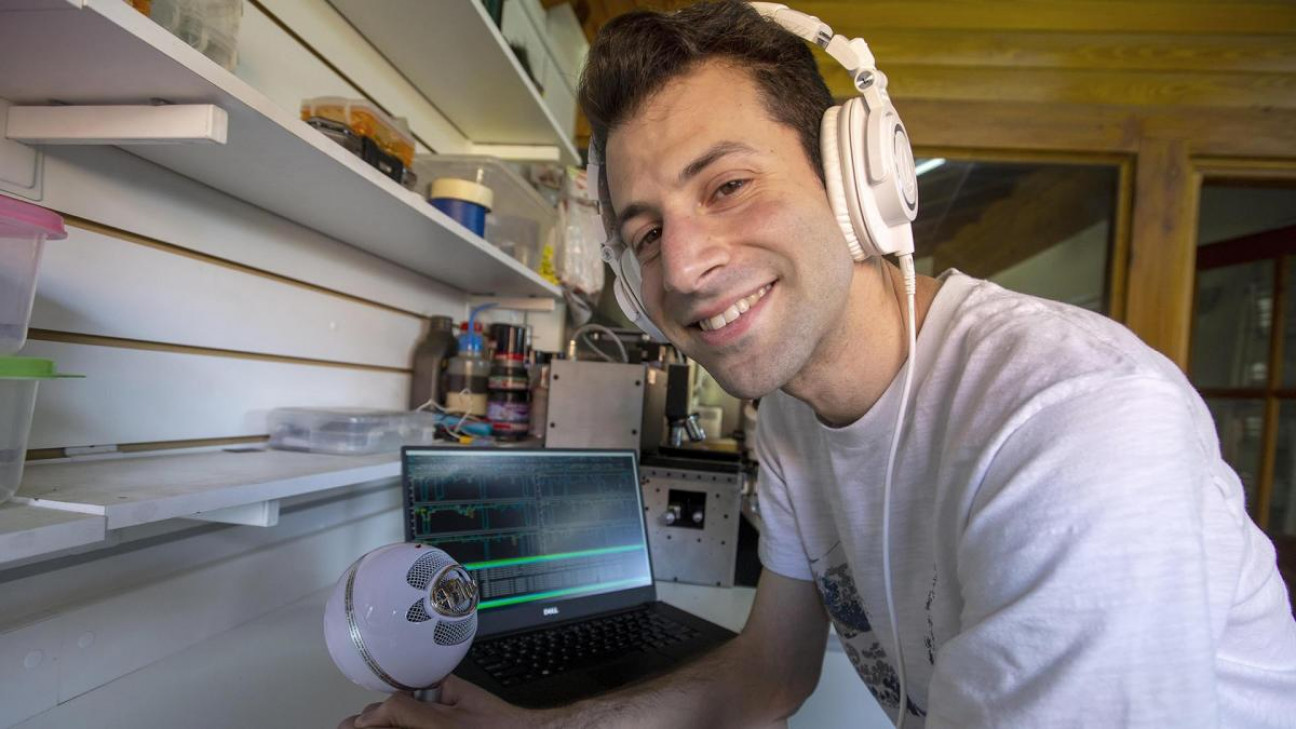 imagen Desarrollaron un sistema de inteligencia artificial para cambiar la voz