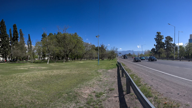 imagen Más árboles, menos ruido: el arbolado reduce hasta 17 decibeles la contaminación sonora en Mendoza