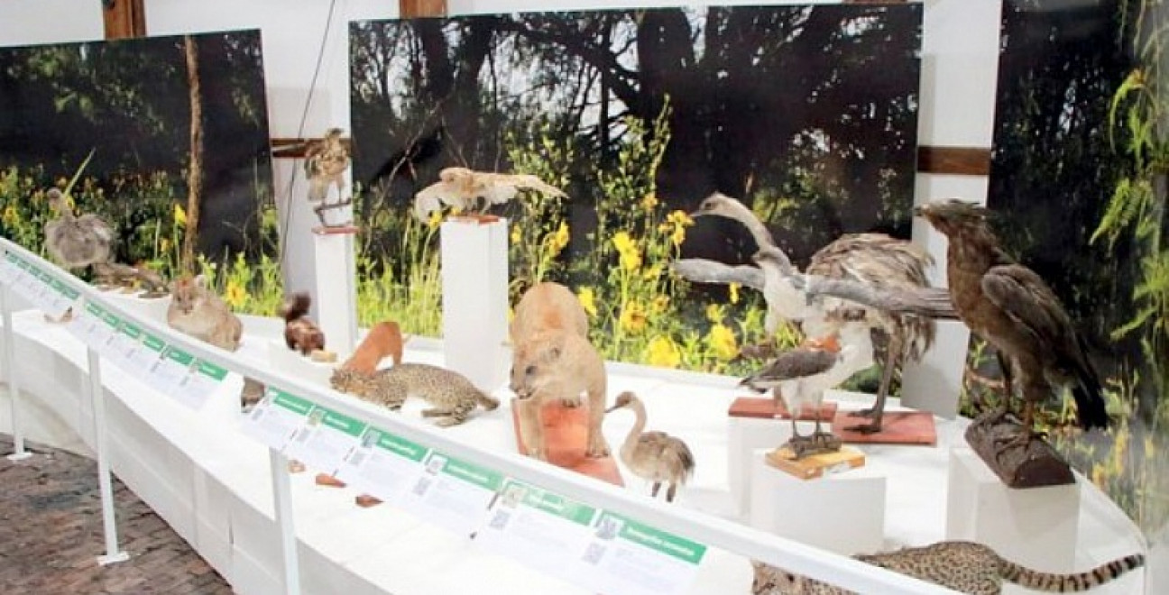 imagen  General Alvear tiene su propio museo de Ciencias Naturales