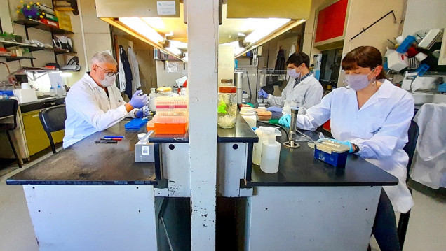 imagen El barbijo Atom Protect y el satélite Saocom 1B, entre los grandes aportes de la ciencia argentina