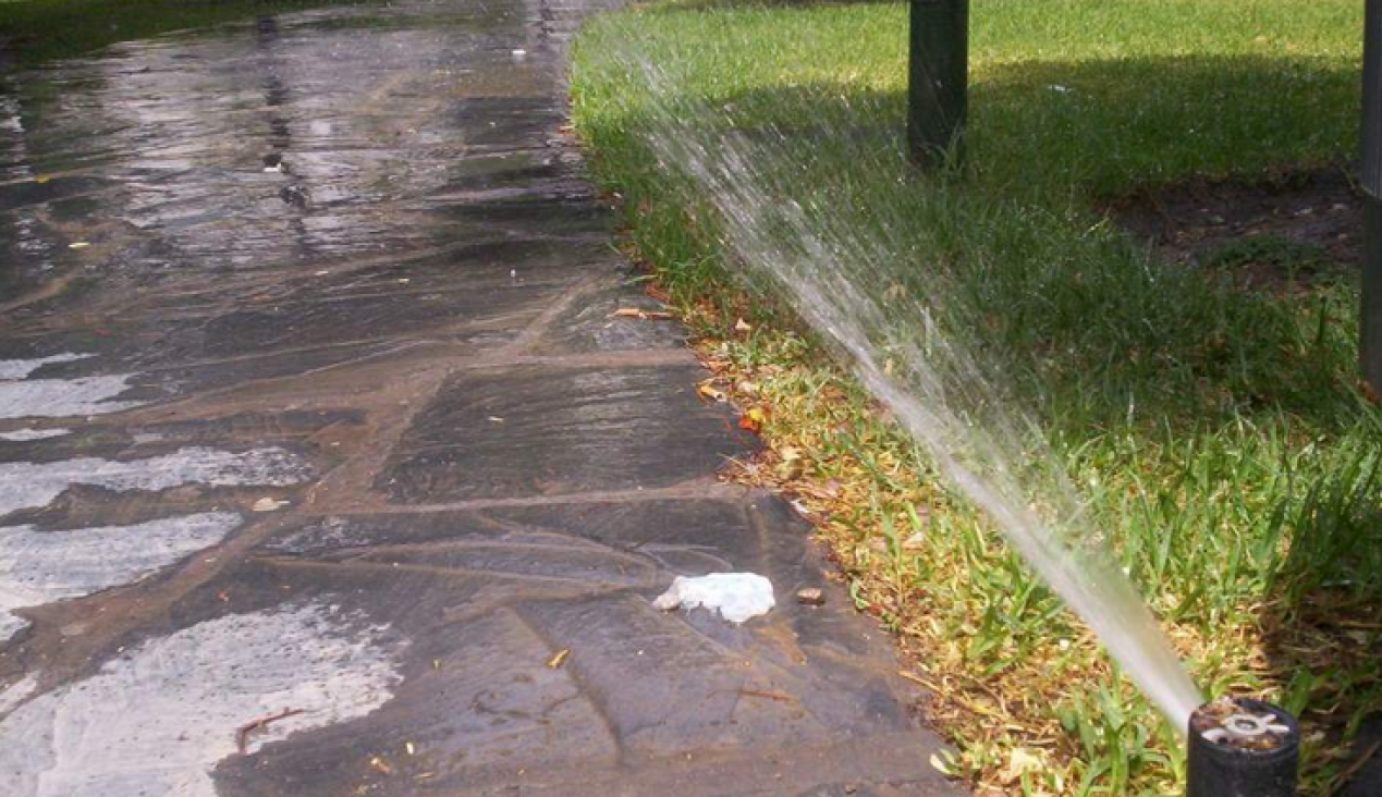 imagen No cuidamos el agua