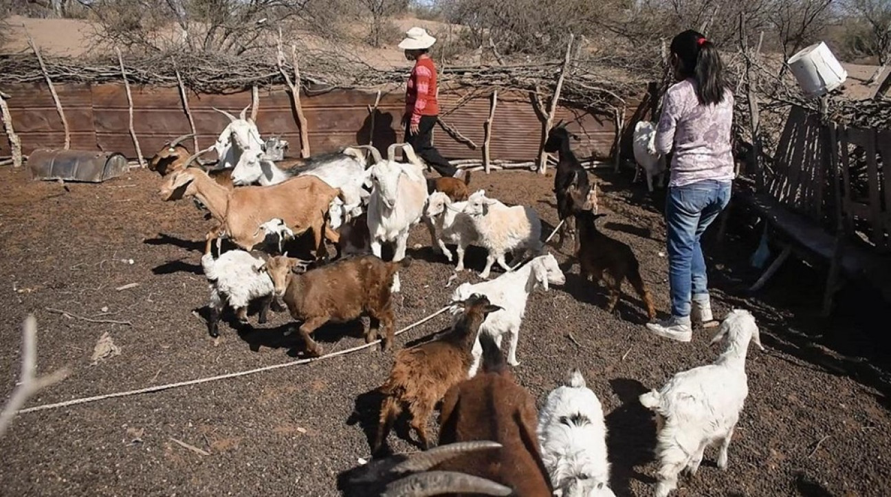 imagen En Mendoza, 45 mil personas se reconocieron como indígenas o descendientes de pueblos originarios