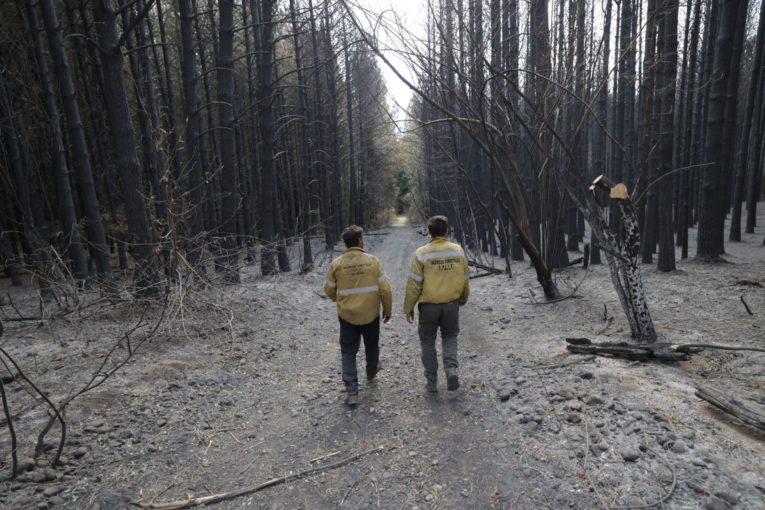 imagen Los incendios en la Patagonia ponen bajo la lupa los fondos para combatir el fuego 