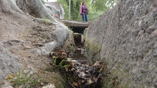 imagen Obras, tecnología de riego y cultura, los cambios necesarios para salvar la tríada acequia-agua-arbolado