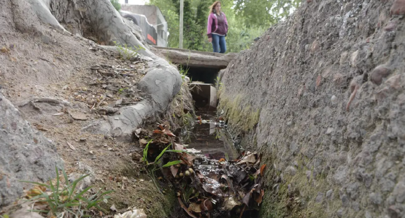 imagen Obras, tecnología de riego y cultura, los cambios necesarios para salvar la tríada acequia-agua-arbolado