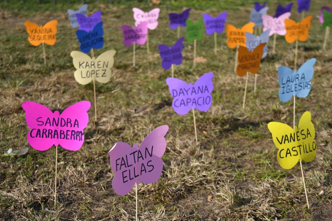 imagen En los primeros 45 días del año, hubo un femicidio cada 26 horas
