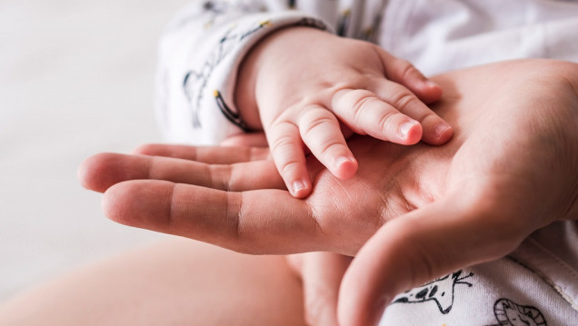 imagen Enfermedades crónicas: pediatras mendocinas impulsan un nuevo modelo de atención