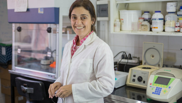 imagen Investigadora del Conicet y del INTA crea una solución para evitar pérdidas millonarias en la ganadería