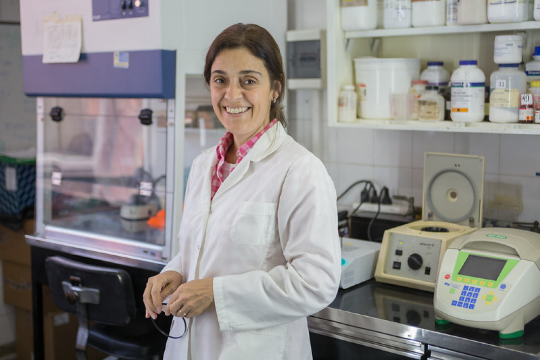 imagen Investigadora del Conicet y del INTA crea una solución para evitar pérdidas millonarias en la ganadería