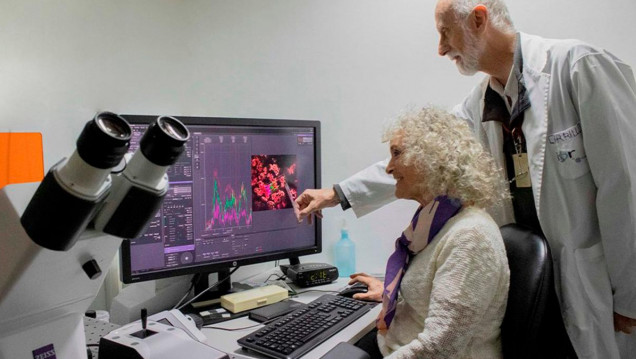 imagen "Nernst": un biosensor que determina la energía en bacterias, plantas y animales
