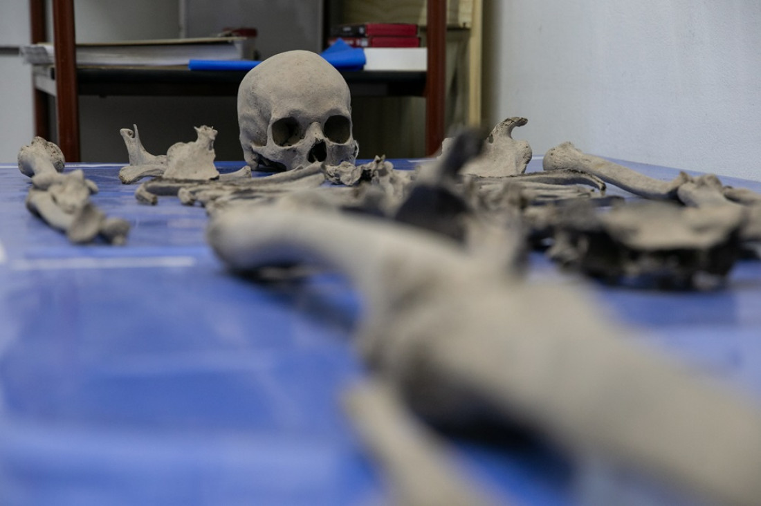 imagen La única osteoteca de Mendoza ya tiene un lugar para sistematizar su trabajo y formar estudiantes 