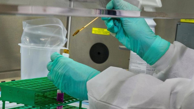 imagen Cómo funciona Cruzivax, la vacuna contra el mal de Chagas desarrollada por especialistas de Argentina 
