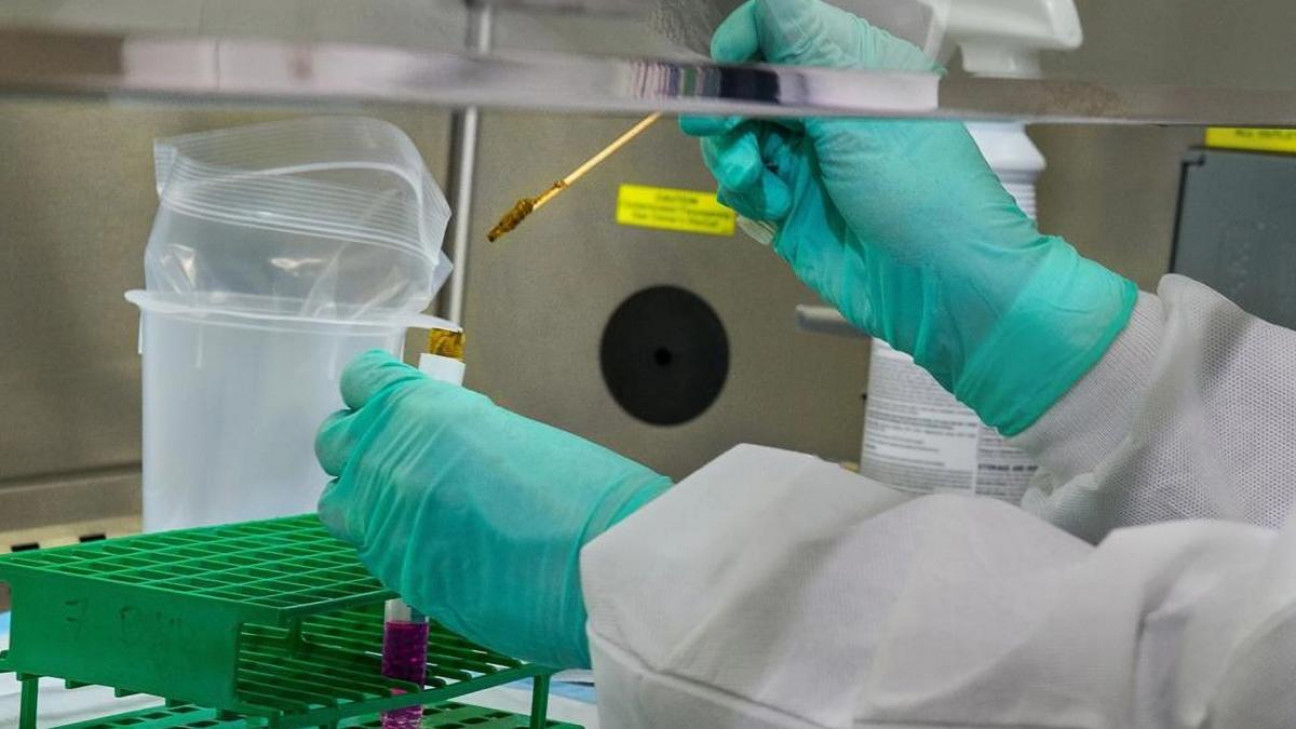 imagen Cómo funciona Cruzivax, la vacuna contra el mal de Chagas desarrollada por especialistas de Argentina 