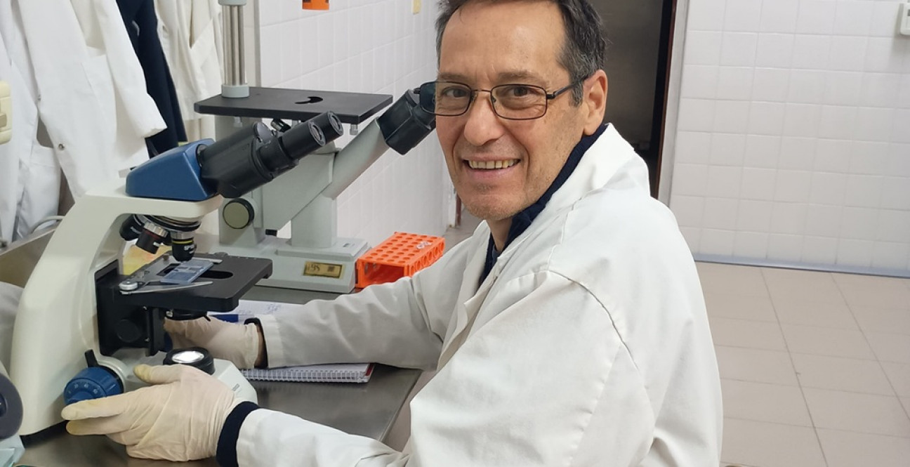 imagen Pájaro bobo: la planta autóctona de Mendoza que abre un camino en la lucha contra el cáncer
