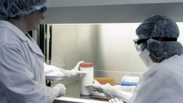 imagen Coronavirus: 795 nuevos casos en el país en las últimas 24 horas 