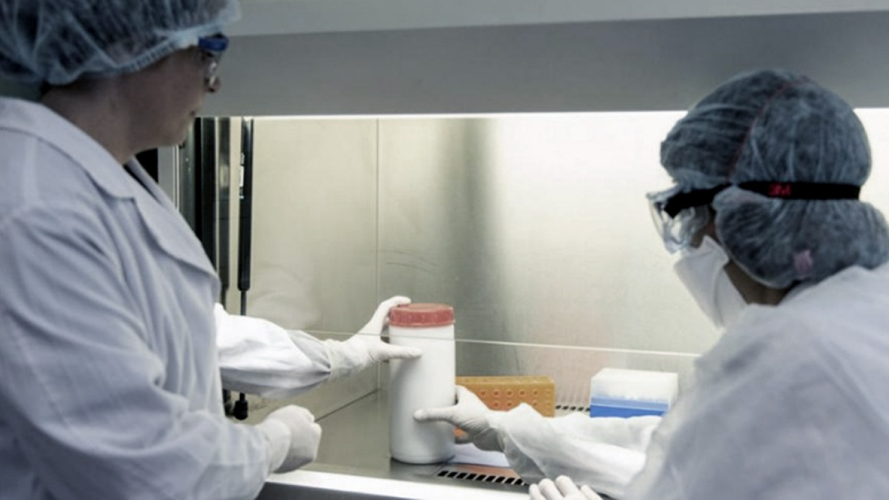 imagen Coronavirus: 795 nuevos casos en el país en las últimas 24 horas 