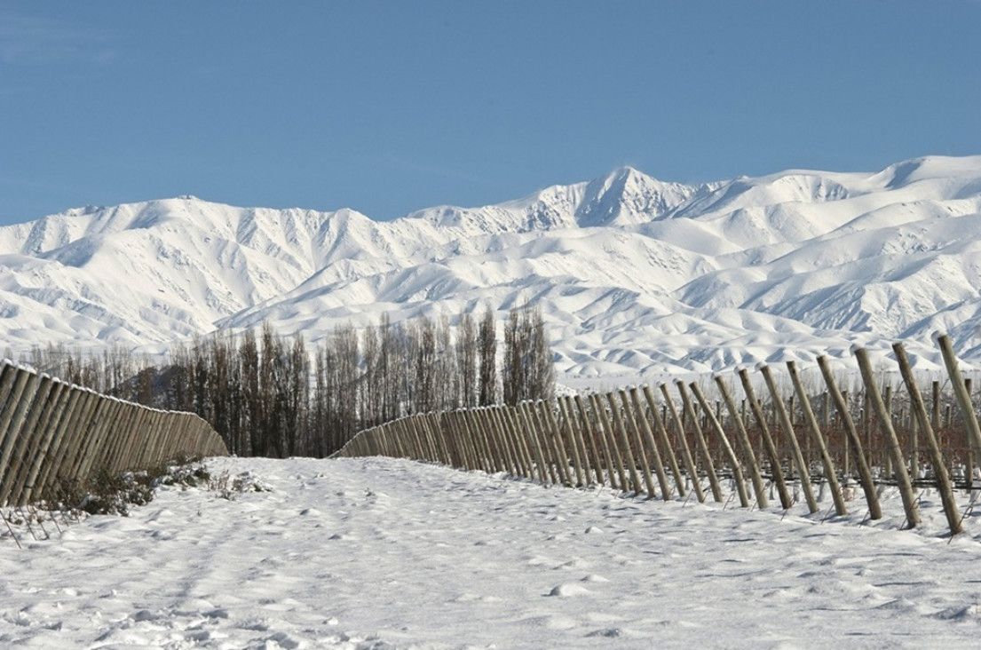 imagen El Niño en Mendoza anticipa intensas nevadas, pero no garantiza un invierno extraordinario 