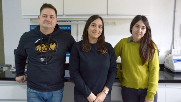 imagen Identifican proteínas que permitirían predecir la respuesta al tratamiento del cáncer de mama