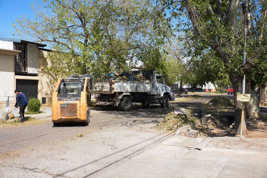imagen Tormenta de agua y granizo afectó cultivos y viviendas en distintas zonas de Mendoza