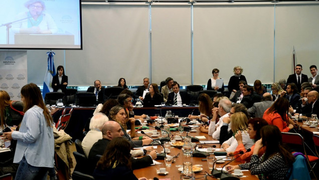 imagen Interactivo: qué se dijo en las audiencias por el aborto legal