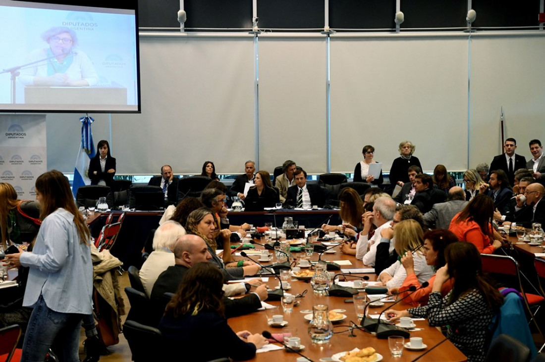 imagen Interactivo: qué se dijo en las audiencias por el aborto legal