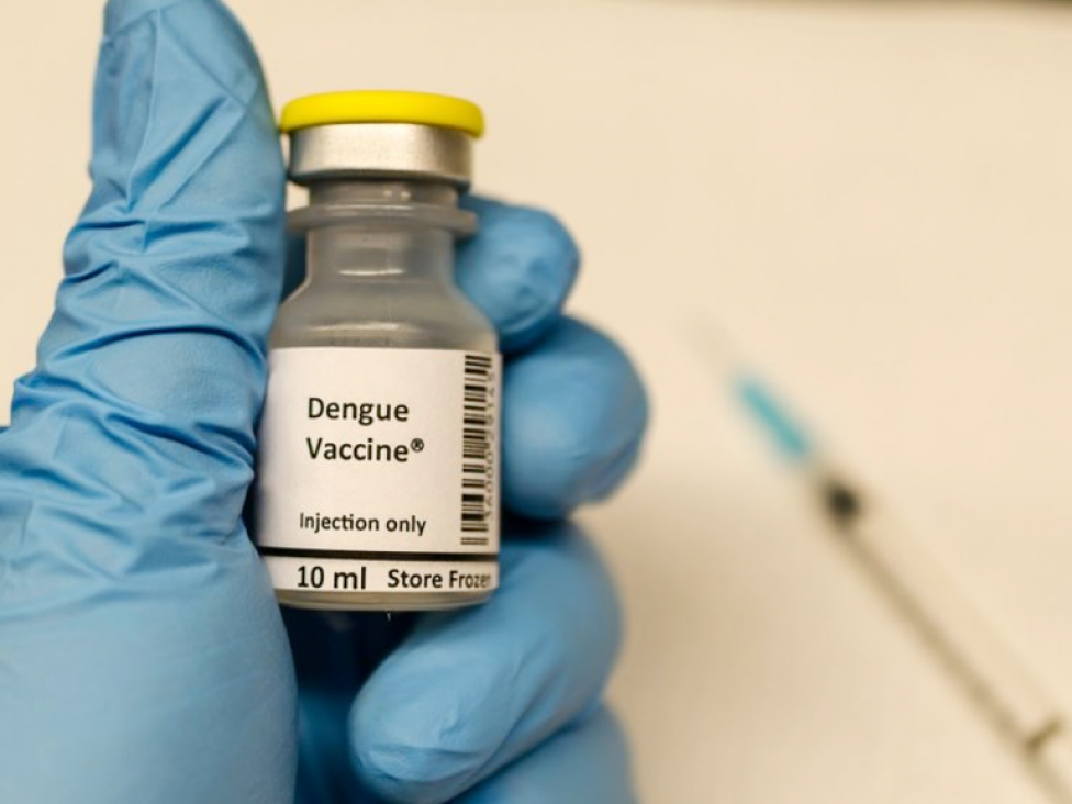 imagen Qué se sabe sobre las vacunas contra el dengue