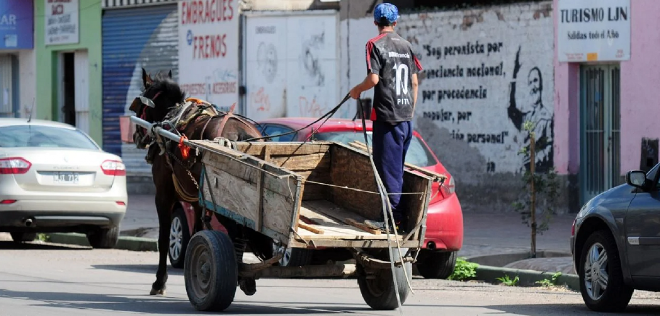 imagen Por qué en Mendoza no avanzan los proyectos para prohibir la tracción a sangre