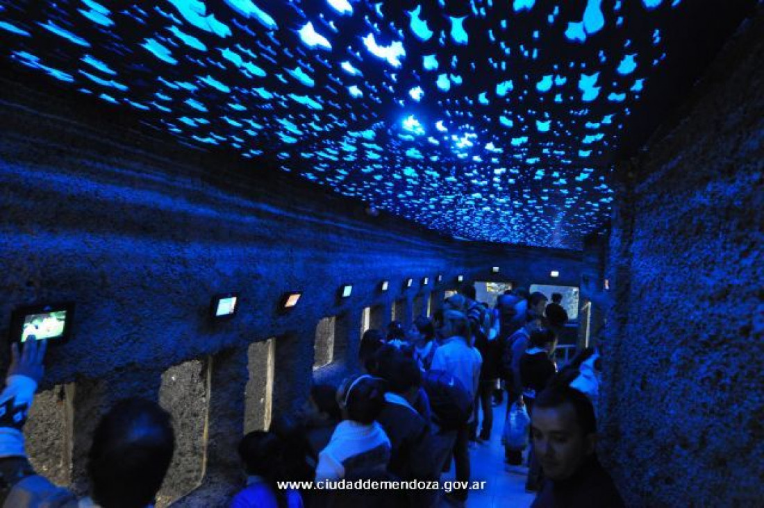 imagen El acuario de Mendoza es el más antiguo del país 