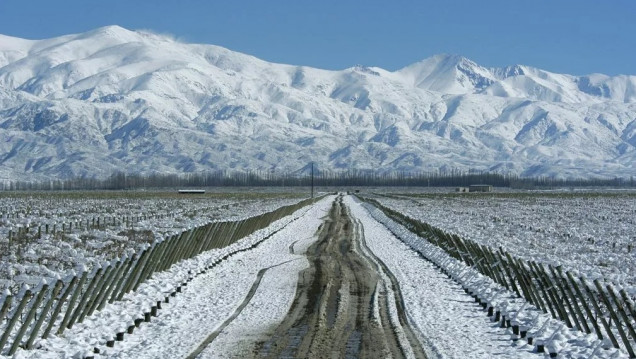 imagen El Niño anticipa más nevadas para Mendoza, pero no asegura un invierno histórico