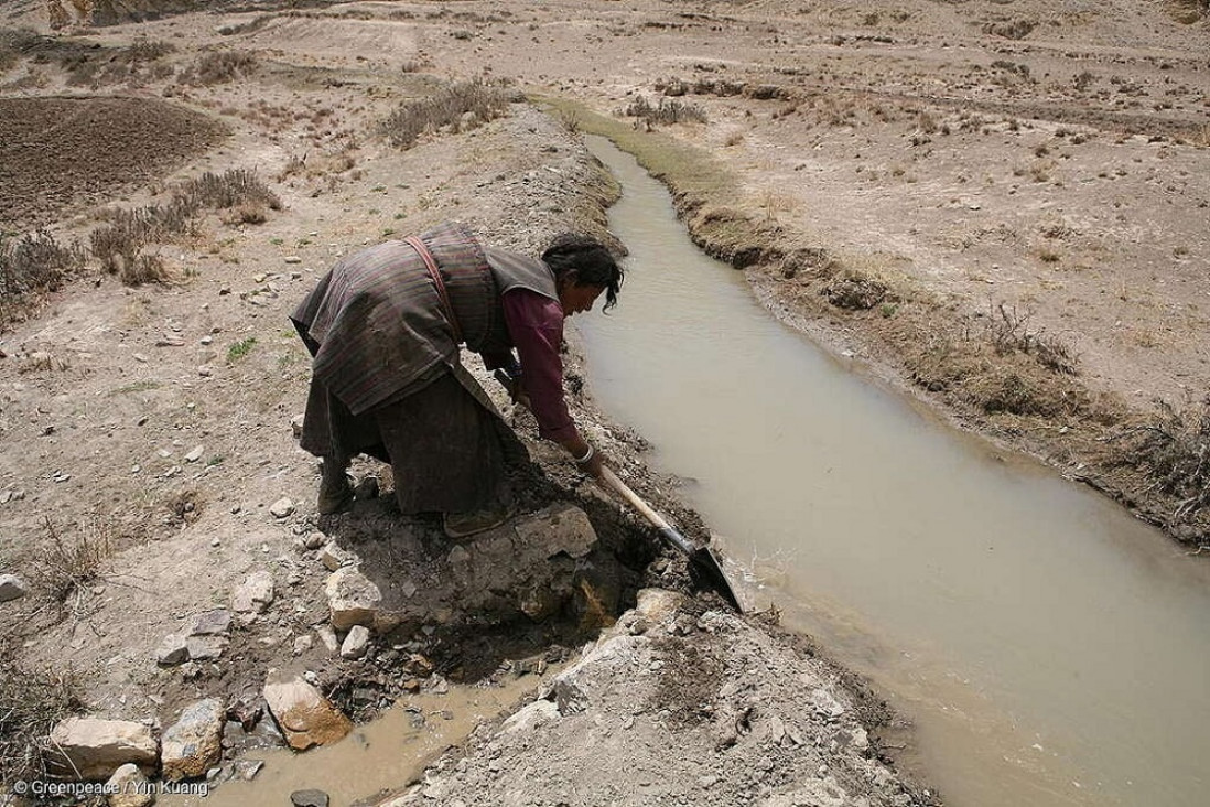 imagen La salud del 70% de trabajadores y trabajadoras del mundo está en riesgo por el cambio climático